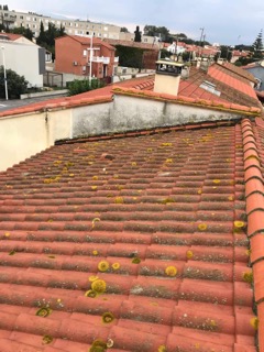 Nettoyage et hydrofuge - étanchéité d'une toiture à Perpignan