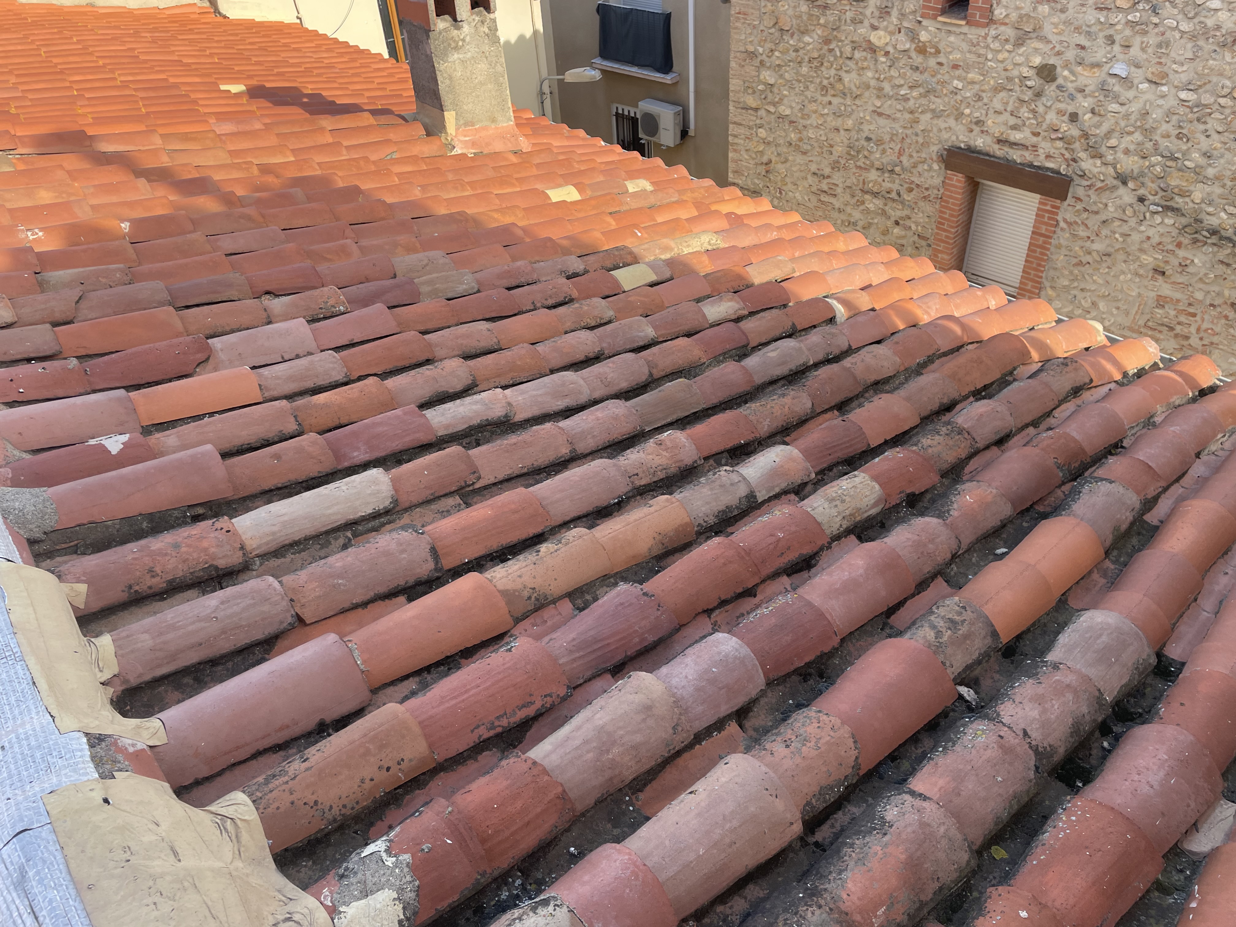 Traitement de toit anti-mousse à Perpignan
